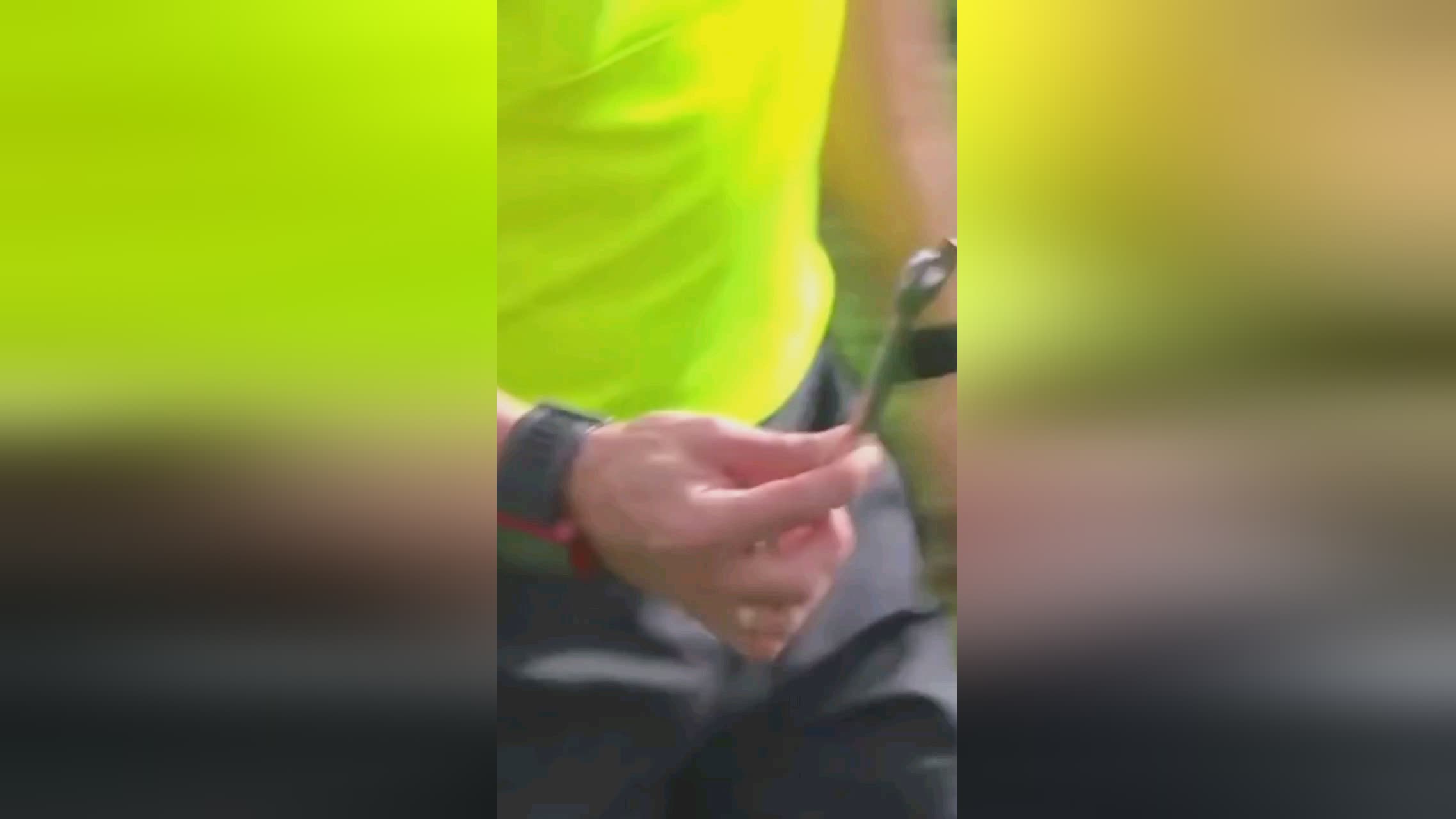 斯近年